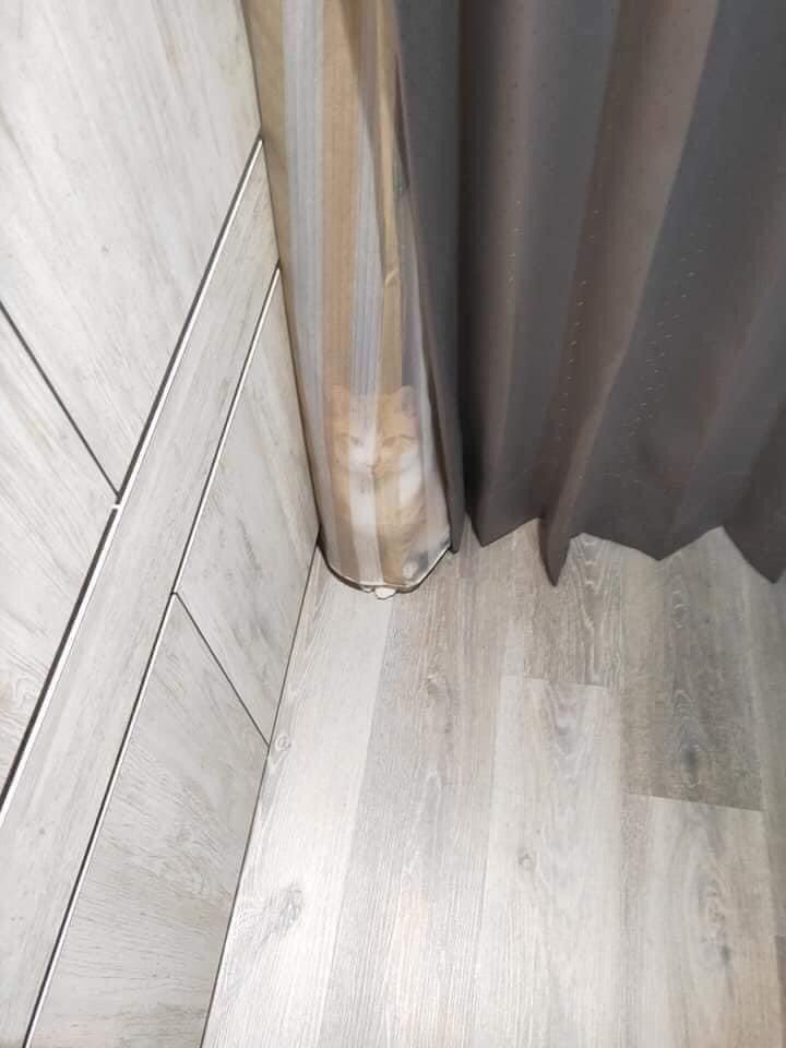 weirdlilguys's tweet image. u can not perceive me