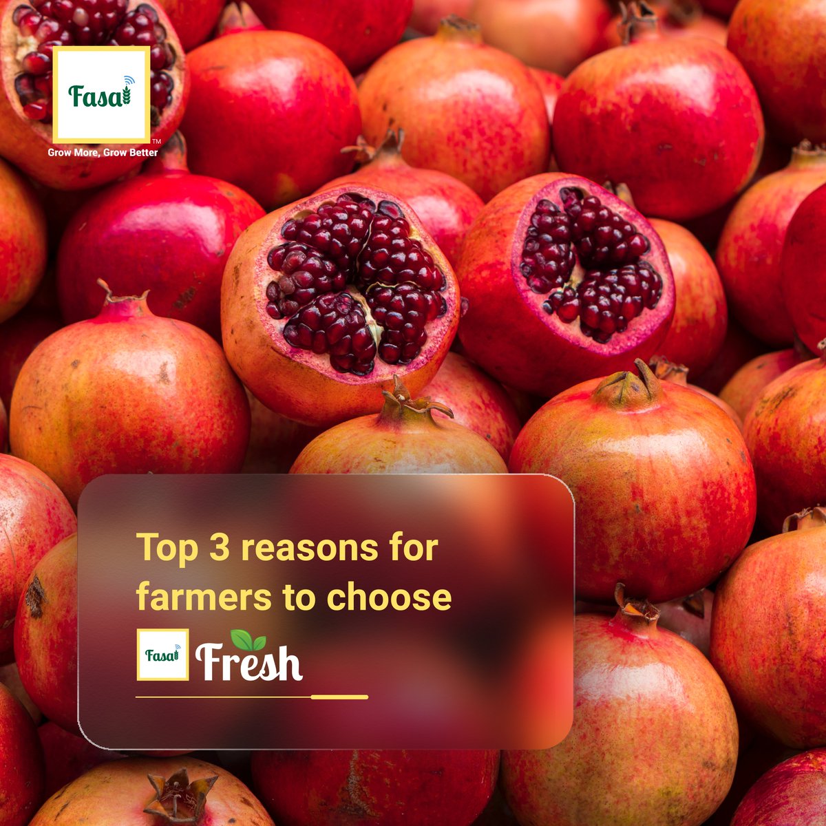 FasalOfficial's tweet photo. Fasal Fresh is not only a procurement professional’s friend. It packs a promise for farmers too. Swipe left, decide and join the bandwagon of India’s new-age farming.👨🏻🌾
#procurementprofessionals #indianfarmers #indianagriculture #fasalfresh https://t.co/OEDZ605KKz