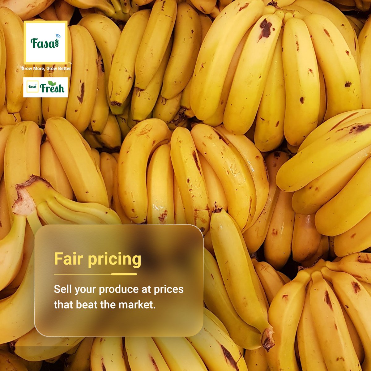 FasalOfficial's tweet photo. Fasal Fresh is not only a procurement professional’s friend. It packs a promise for farmers too. Swipe left, decide and join the bandwagon of India’s new-age farming.👨🏻🌾
#procurementprofessionals #indianfarmers #indianagriculture #fasalfresh https://t.co/OEDZ605KKz