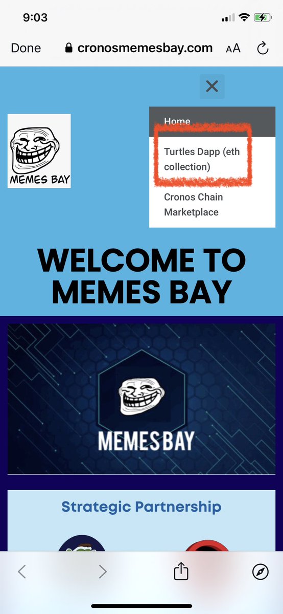MOONSassistant's tweet image. Do you enjoy the low mint prices on MemesBay NFT platform ?? 

You did ? !? 

Great !!

Awesome

Try minting a turtle on ETH dapp  N join the Eth fam ☺️

#cronos #cro #fftb #cronosnft