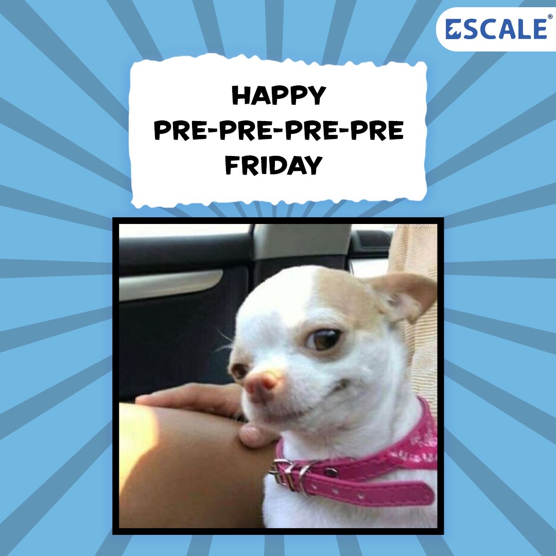 Escale Solutions tweet media