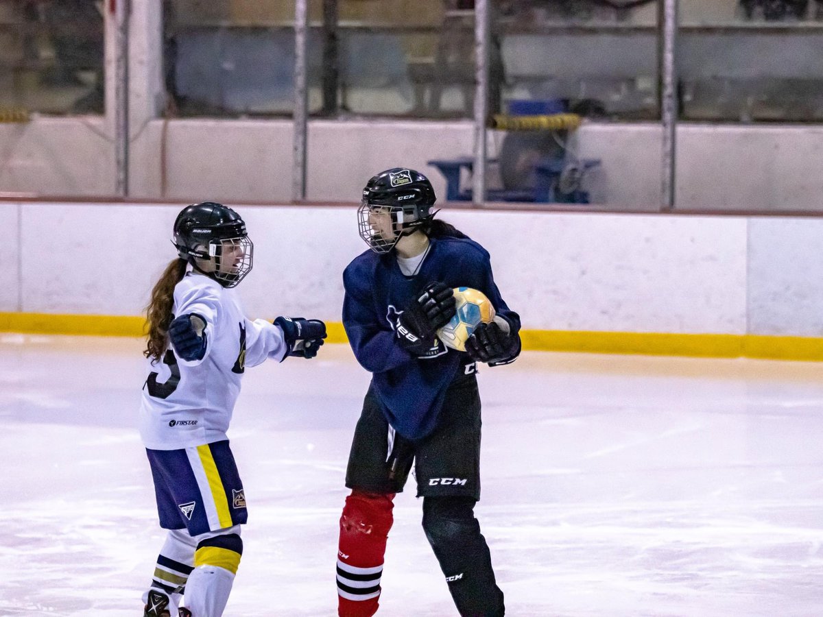 danimaltrent's tweet photo. Hockey isnβt always about sticks and pucks, how about a nice handball warmup? Work on support, edges, eyes up, tons of smiles #TeamOregon https://t.co/ocD70Ocgam