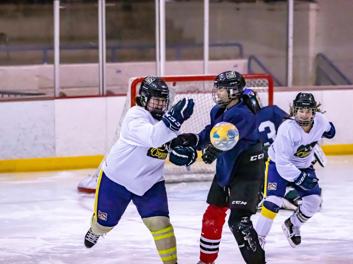 danimaltrent's tweet photo. Hockey isnβt always about sticks and pucks, how about a nice handball warmup? Work on support, edges, eyes up, tons of smiles #TeamOregon https://t.co/ocD70Ocgam