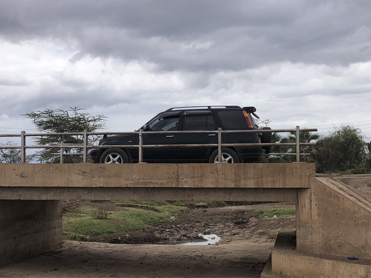 Timpanist tweet media