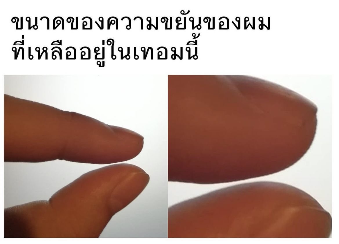 ช่างแม่ง🐰🏳️🌈 tweet media