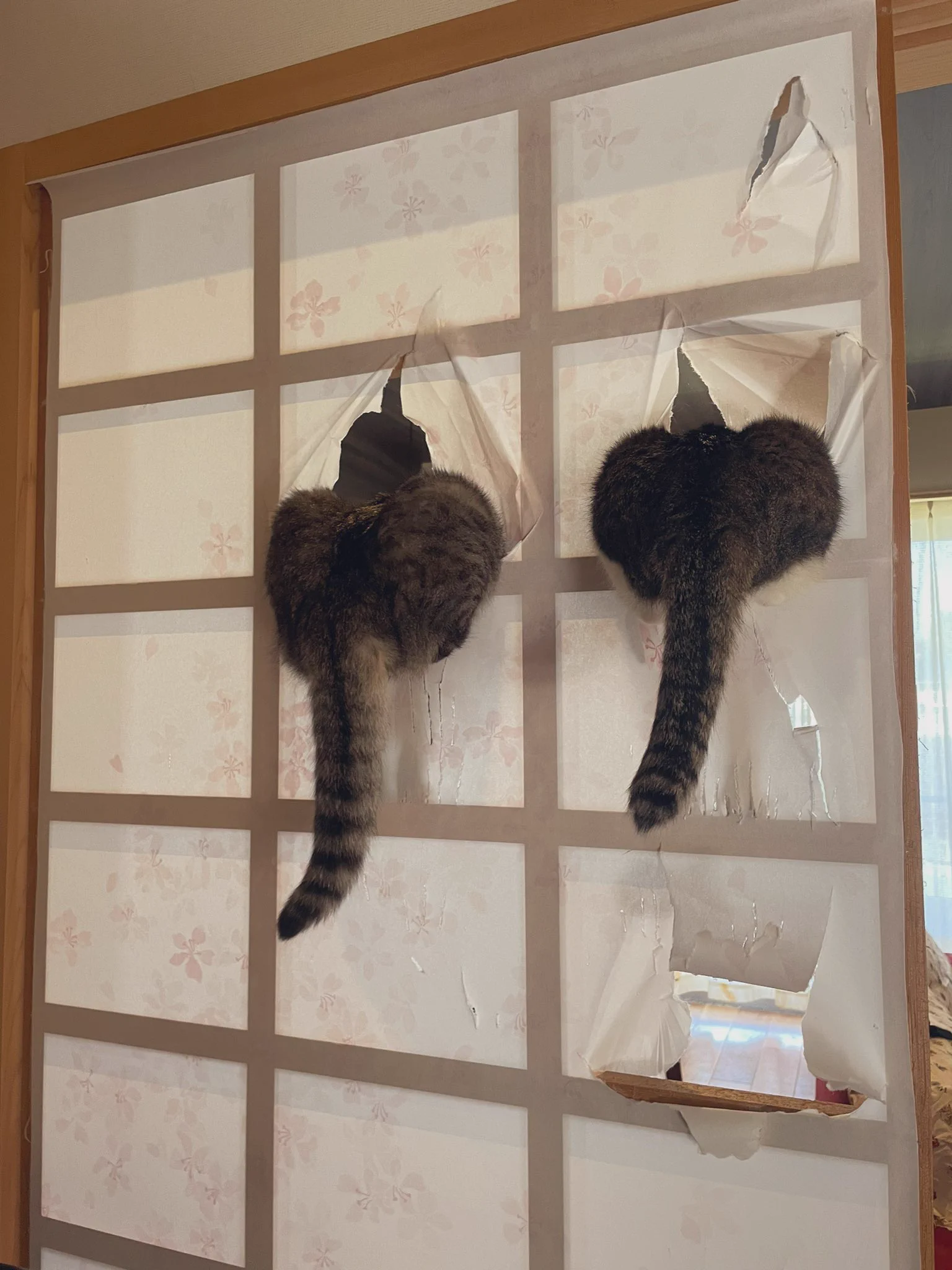 @torish935 涙そして、また涙　子供は動き回るのが仕事。長野市の公園を壊さないで！！！！（元オリンピック選手　荻原市長へ） 