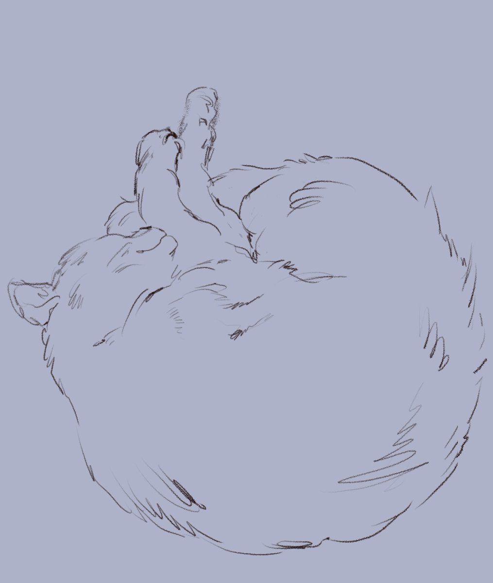 katzud0n's tweet photo. little sketches of kitty cattone https://t.co/1IuBN1w55J