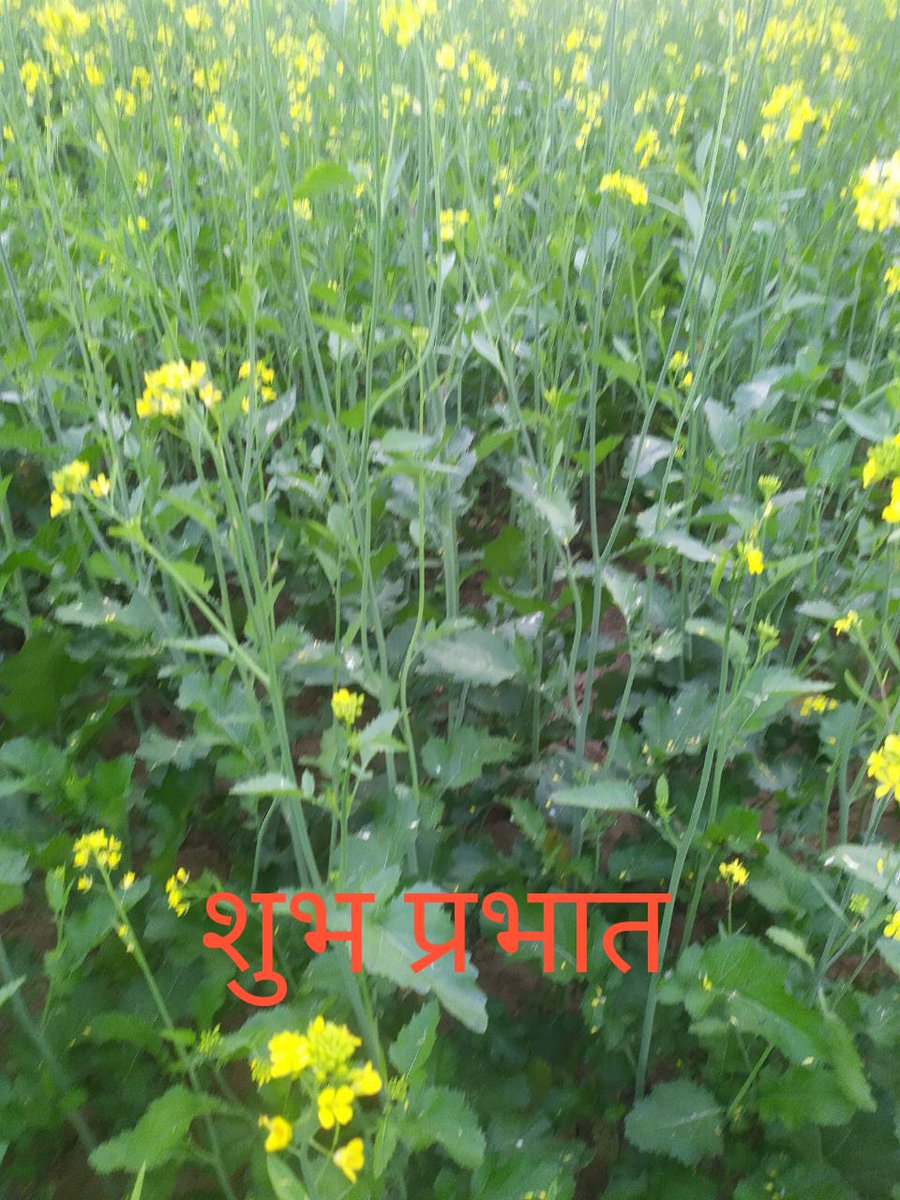 Good morning to all.