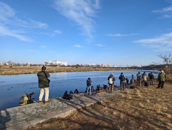聖蹟桜ヶ丘の河原に珍しい鳥が来てるらしく、ここ最近めっちゃカメラマンいる https://t.co/Nm9PzemK0z<a href="/tag/%E3%83%8A%E3%83%83%E3%82%B7%E3%83%A5%E3%81%A7%E3%82%B7%E3%83%A3%E3%83%8B%E3%83%8F%E3%83%94"class="tags"><span>#ナッシュでシャニハピ</span></a>