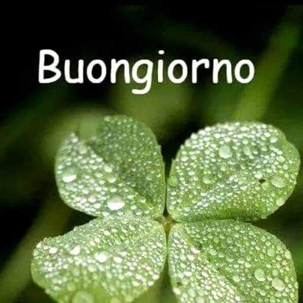 gabrymary2006's tweet photo. Good morning and happy Sunday #twittercity❤️☕️
#buongiorno #goodmorning #lunedì #monday #iniziosettimana #newweek https://t.co/0gwsQGte8g