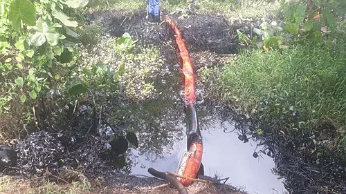 CorpWatch's tweet image. Oil leak from Petrobras well contaminates Japaratuba River basin in Sergipe state of Brazil, after the company fails to act in time. &quot;I saw the fish dying and the contamination in the streams at the site where the leak took place.&quot;

#PeopleVsOil

buff.ly/3iVXRaC