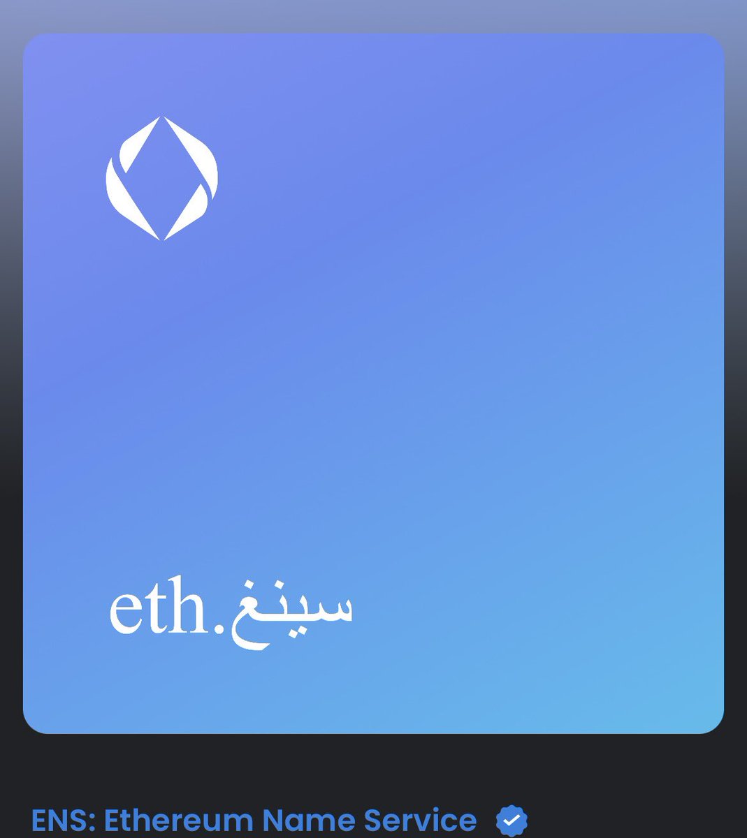 Singh in Arabic… say no more…
- 1eth on ens vision