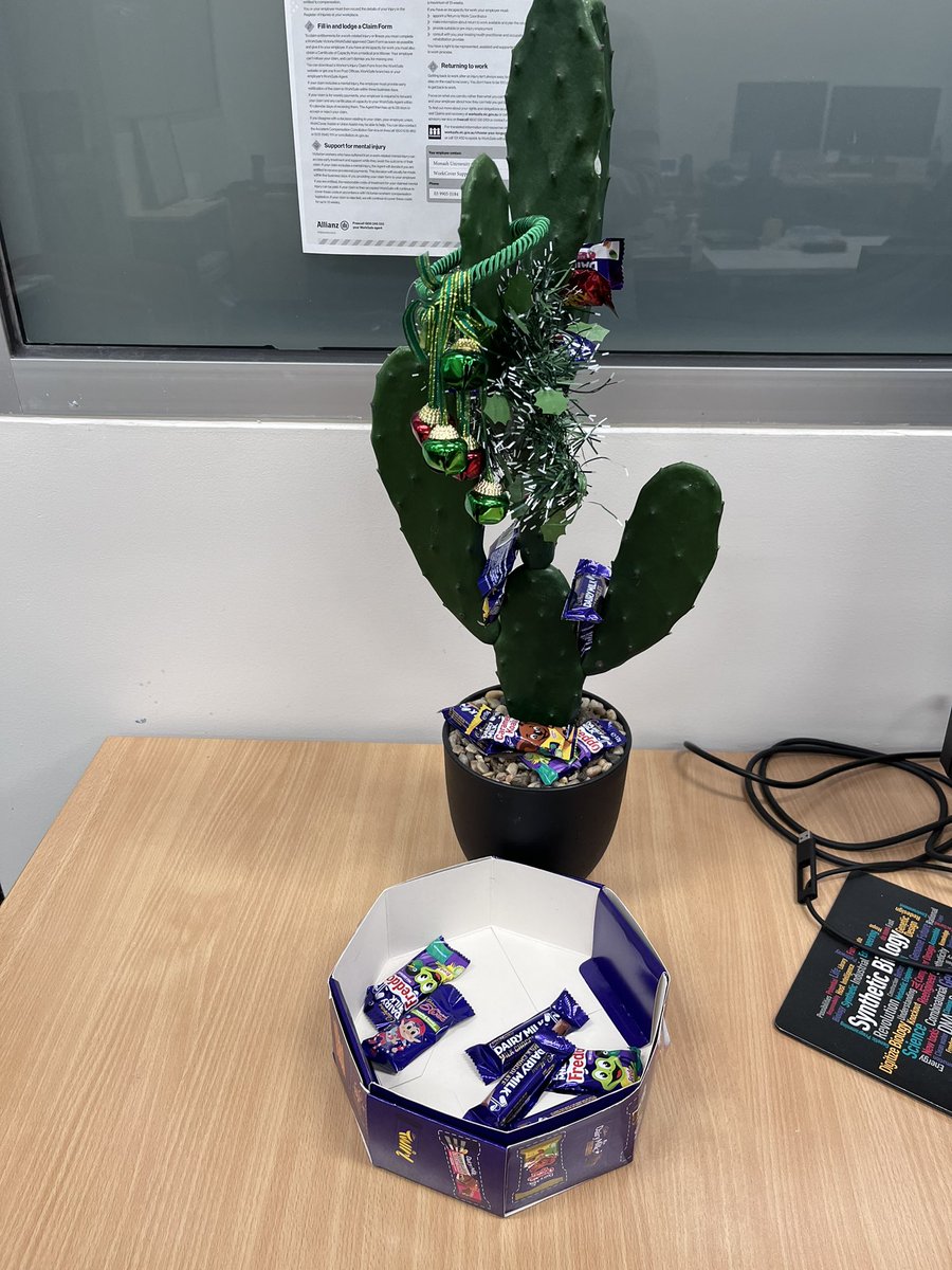 We are getting festive in the platform! Our unofficial mascot the platform cactus is ringing in the silly season.
