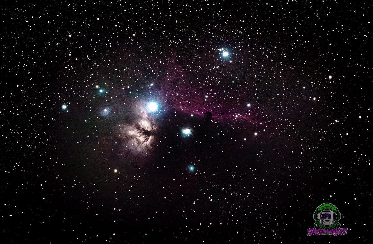 NOLAspacemonkee's tweet image. Trying to clean up some old data while I await another clear night 🥺 #Astrophotography #horseheadnebula #flamenebula #Orion #learning #spacemonkee #skywatcher #esprit #nofilter #bortle7ish