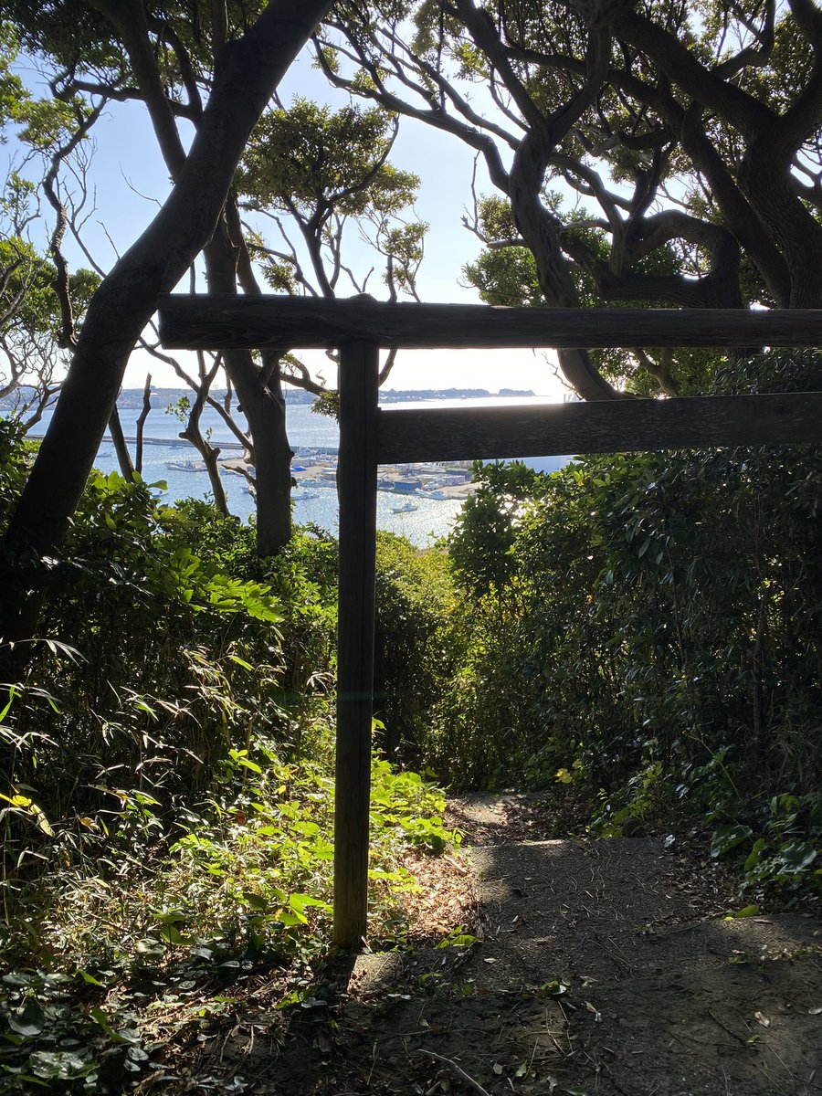 offgridcafe's tweet photo. #sajima #marina #佐島 #神明社 https://t.co/tMBVwjf3E5