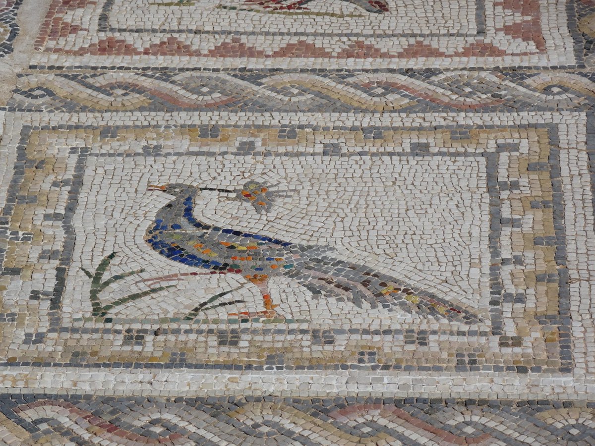 Rosemary Griggs tweet media