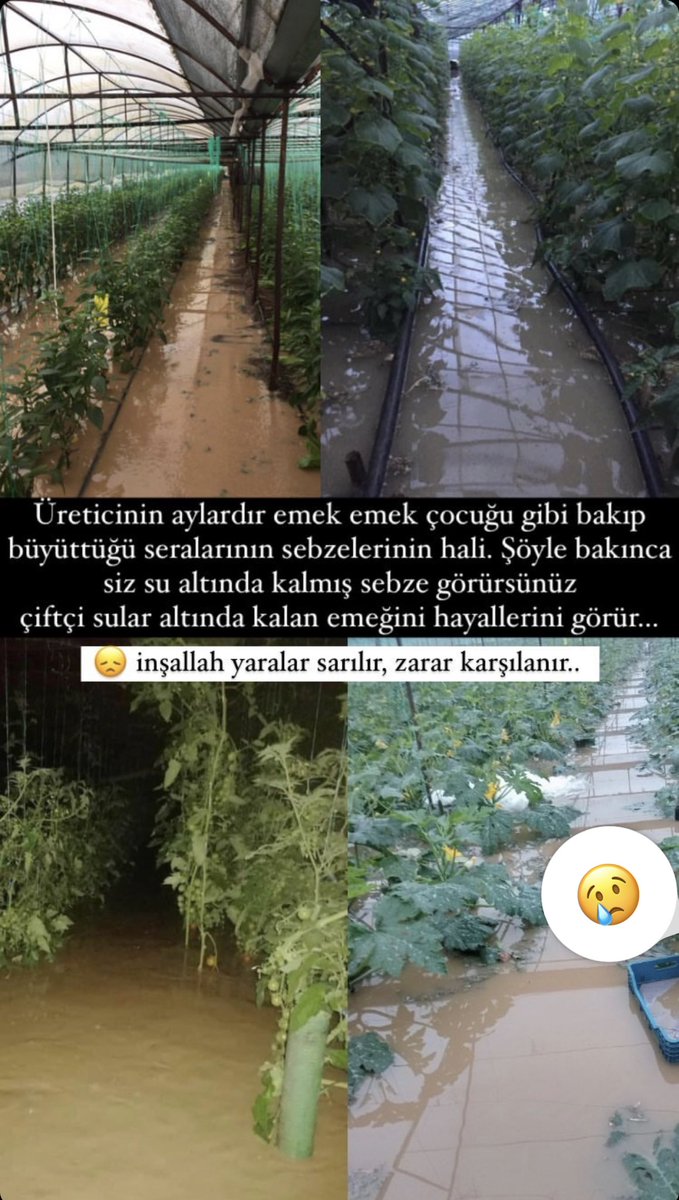 gokdomatis's tweet photo. #Kumluca  çiftçinin durumu tamamen bu .ne eksik ne fazla https://t.co/L93vq1ZEh4