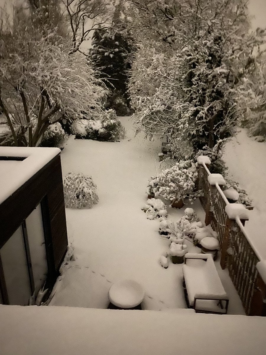 Isabel Parker tweet media