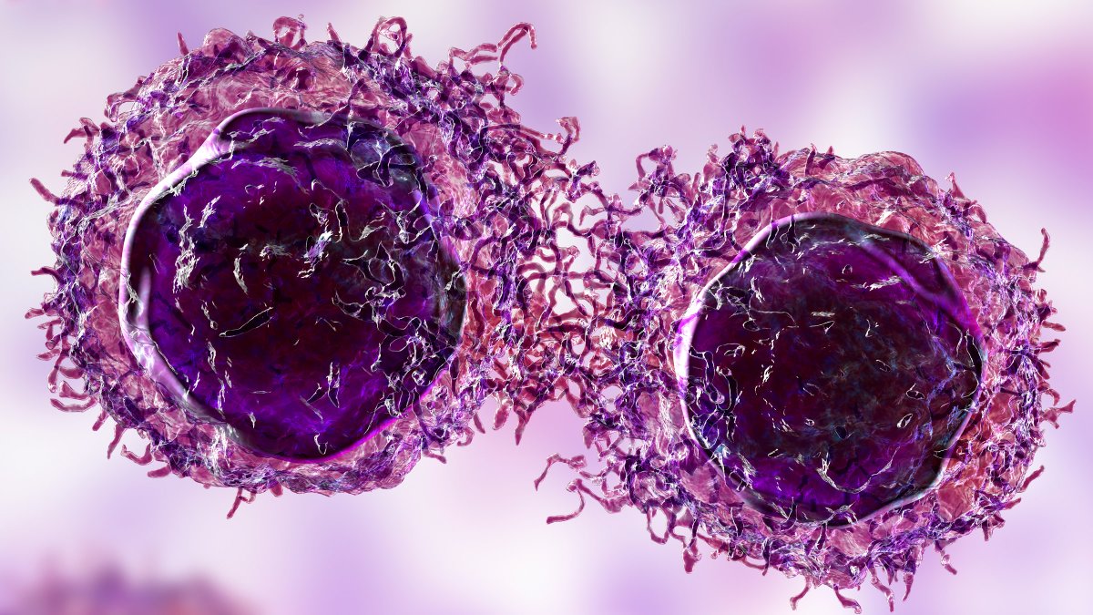 MedwebL's tweet photo. MedWeb News of the day 🎯

Structural Studies 🔬Offer 'How-To' Guide For Designing Cancer Drugs💊

To design drugs 💊 that stall the growth of aggressive cancers...

Read full:https://t.co/dxjqmFuxso

#cancerresearch #design #structural #growth #openaccess #researchanddevelopment https://t.co/dkqEAsgQv6