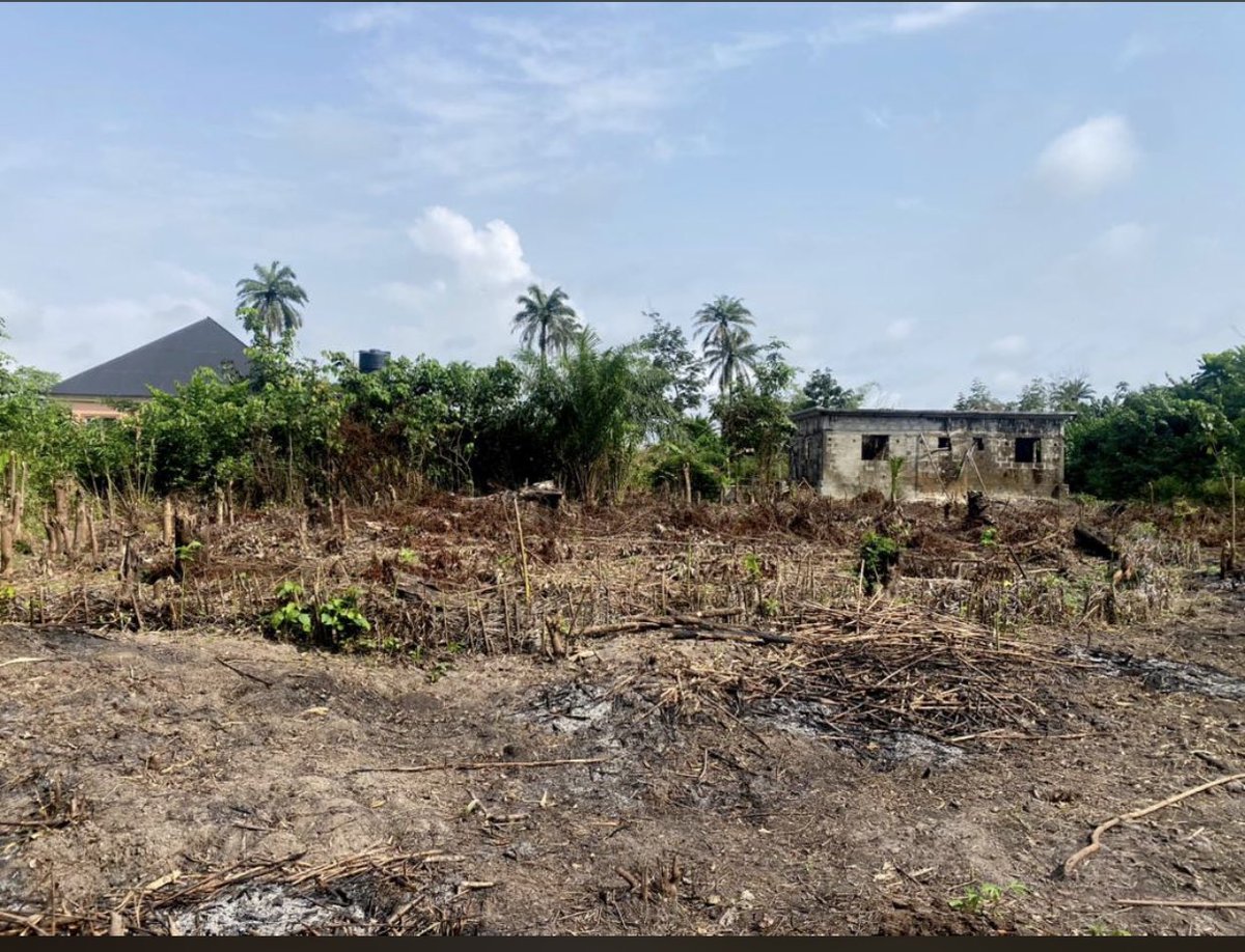 ijay_global's tweet photo. Good Monday Morning.
A plot of land by size of 100x50 is available and also a 3 bedroom uncompleted building is also available. Both located in a residential area.
Location: Owvodokpokpor, opp
Otokutu by the Interlocking street.
Ughelli Delta State. https://t.co/17bI4vOI1K