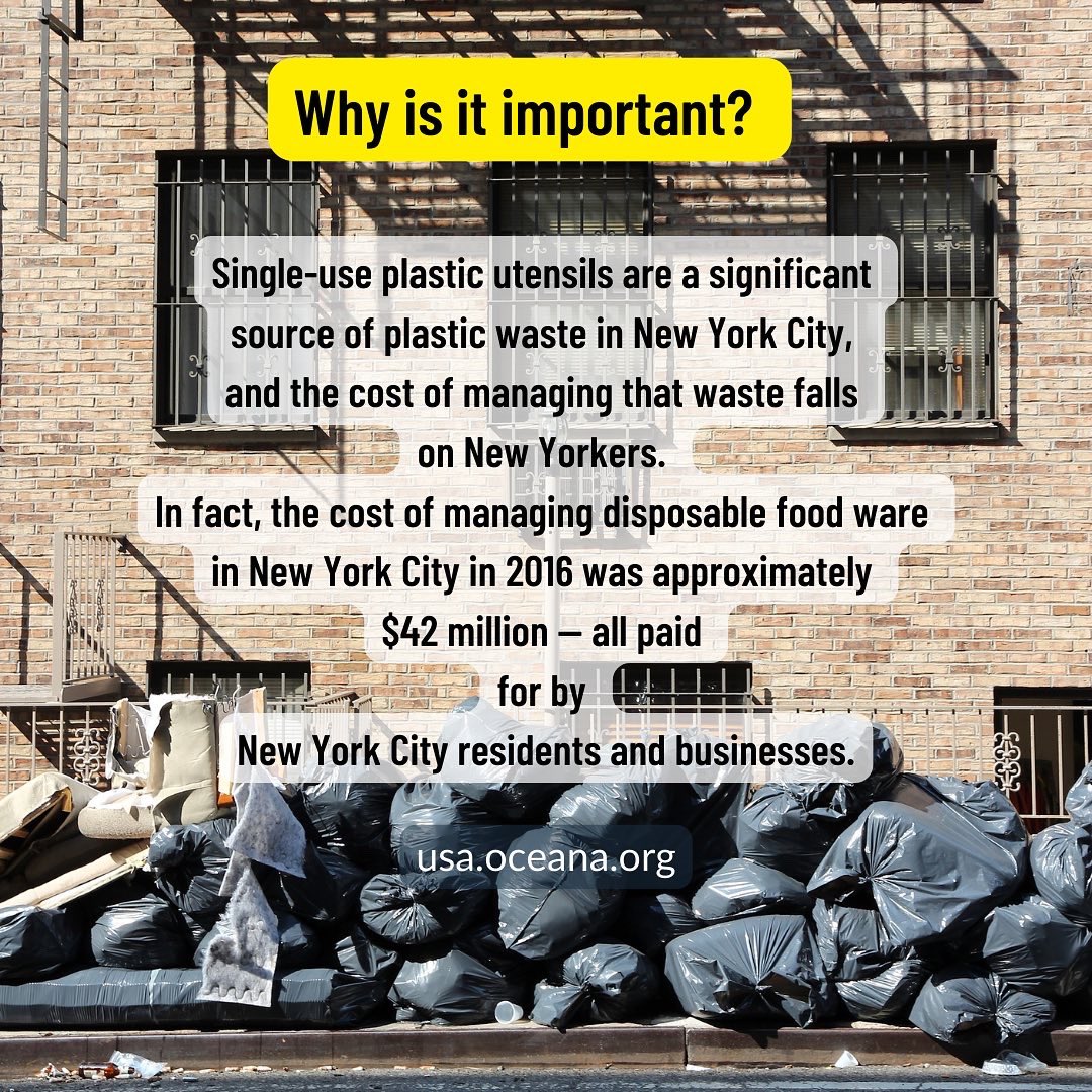 ThibaultDury's tweet photo. The #skipthestuff bill (INT 0559) has been scheduled for a public hearing with the Committee on Consumer and worker Protection! 
Join the in-person rally at 9:30Am on the steps of City Hall. You can testify virtually or submit written testimony. https://t.co/zZ07G7hx3c