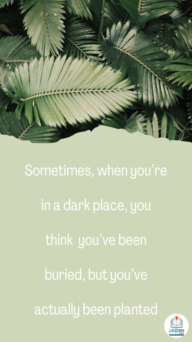 learnproacademy's tweet image. How often have you looked back on difficult experiences and realized how much you have learned or grown?

#DifficultiesBringGrowth
#HappyMonday
#MondayMotivation
#LearnPro
#LearnProAcademy