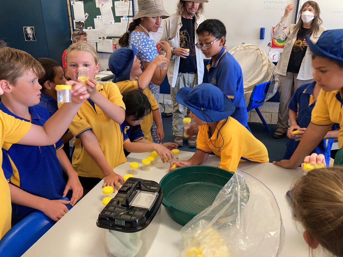 Bugs galore🔍🪰 Shark Bay School students grabbed their magnifying glasses and took part in the national Insect Investigators project. Using a Malaise insect trap students caught 152 species and 85 of them weren't caught by any other schools in the project.