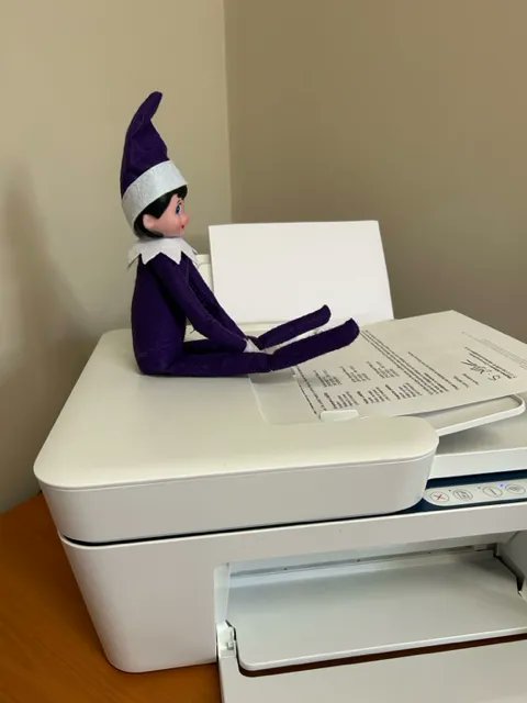 PhoenixPCC1's tweet photo. Sparkle decided to help in the office today after a mad weekend being naughty.

https://t.co/A2JfI2jPqG 

If you need a quote please give us a call 03301244085

#goodelf #gutterclearing #office https://t.co/tXr3Z4aA6K