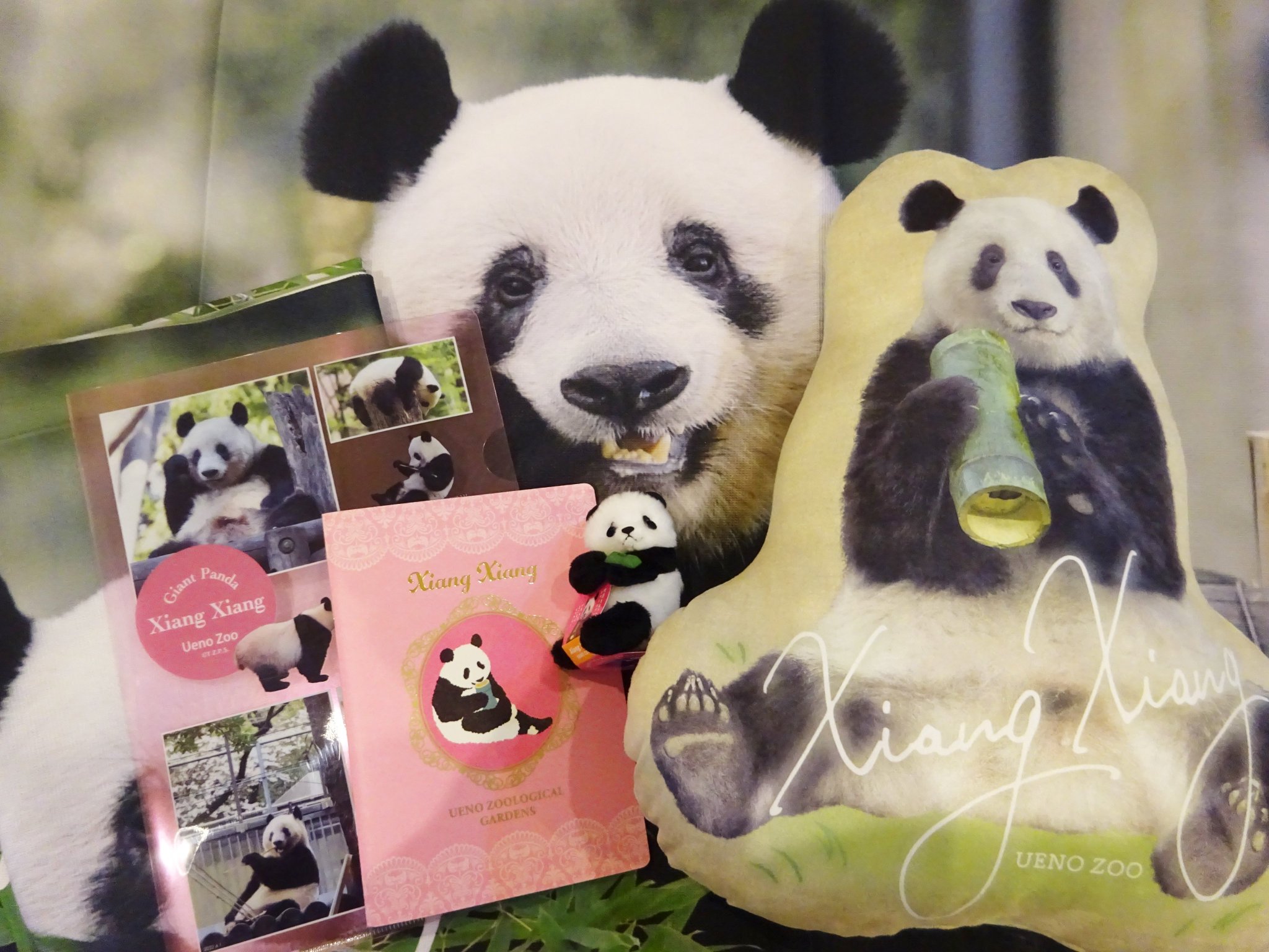 レディース 福袋 (セール) -ファッション通販 上野動物園［公式］  X: على その他