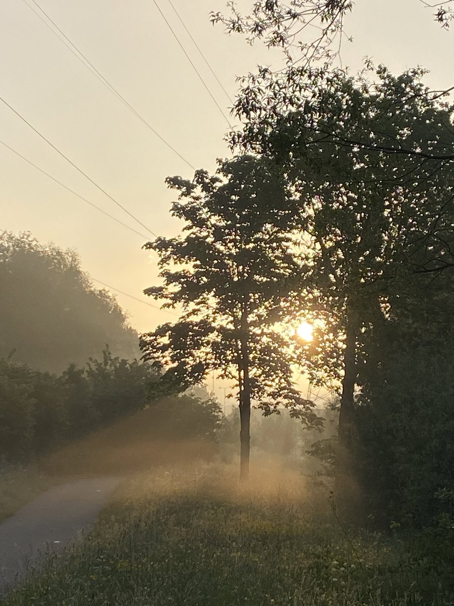 Wereldlichtjesdag 
#memory #🧸