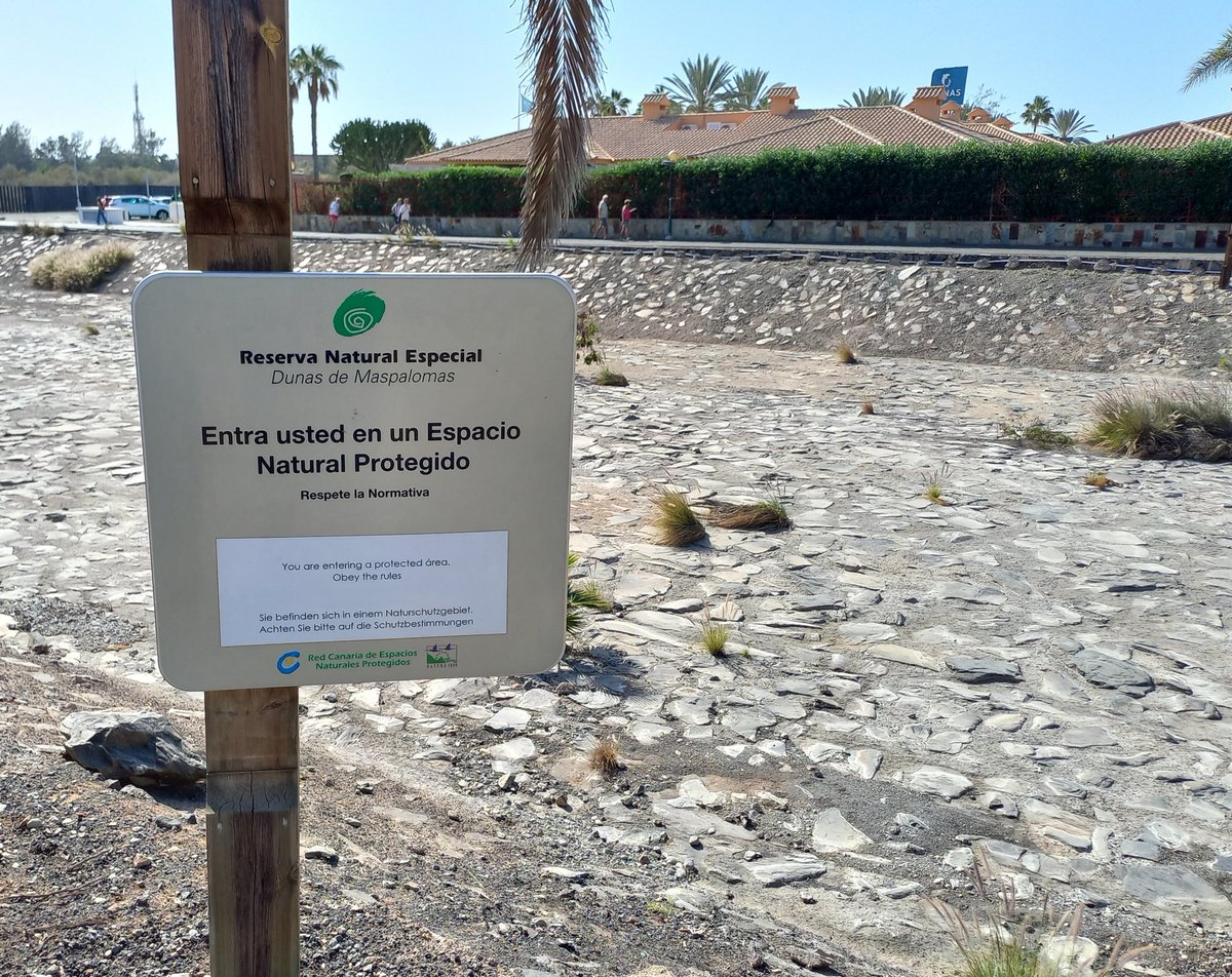 Un cartel que resulta bastante patético, en el Barranco de Maspalomas (Gran Canaria), pues está totalmente "alicatado" y sin apenas vida. Desde <a href="/BenMagecEeA/">Ben Magec-EeA</a> hemos elaborado un proyecto para su renaturalización, y devolverle así la vida. Esperemos que las administraciones lo hagan