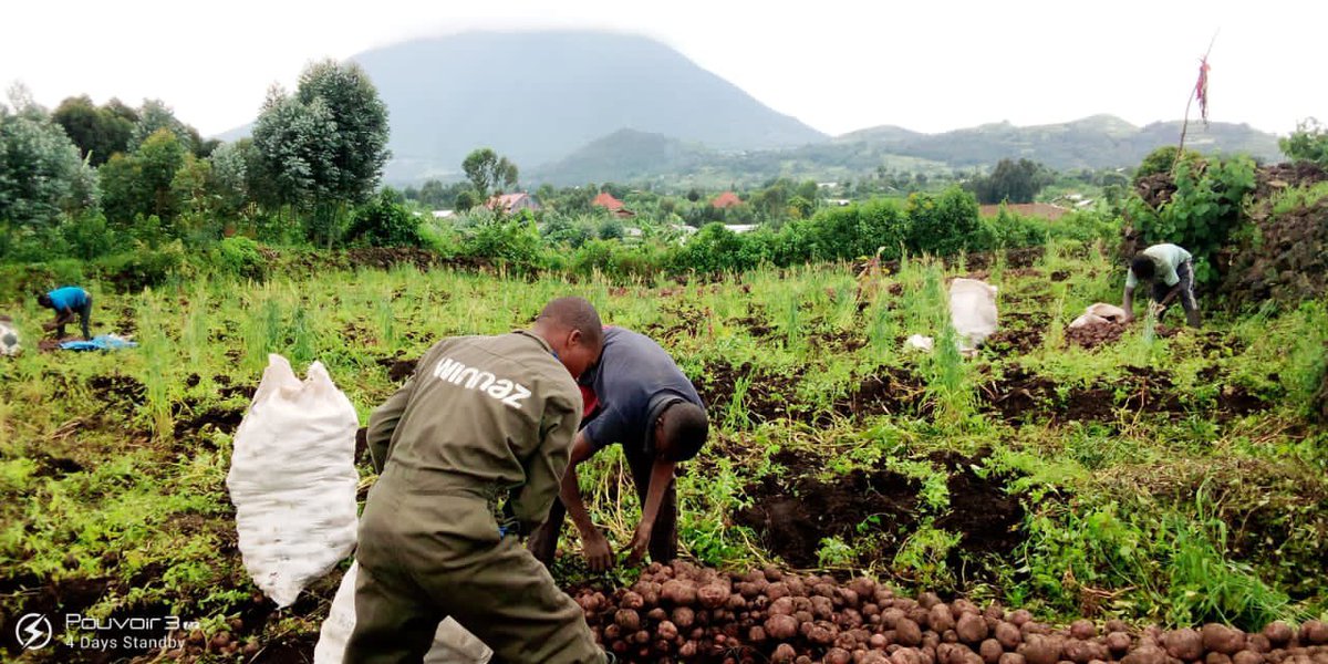Factories like #Winnaz have a significant impact on the #marketgrowth, which helps to sustainably increase demand and ensures a #higherincome for the #potatogrowers. A more effective &amp; enhanced agricultural marketing system promotes the expansion of agro-based companies.
