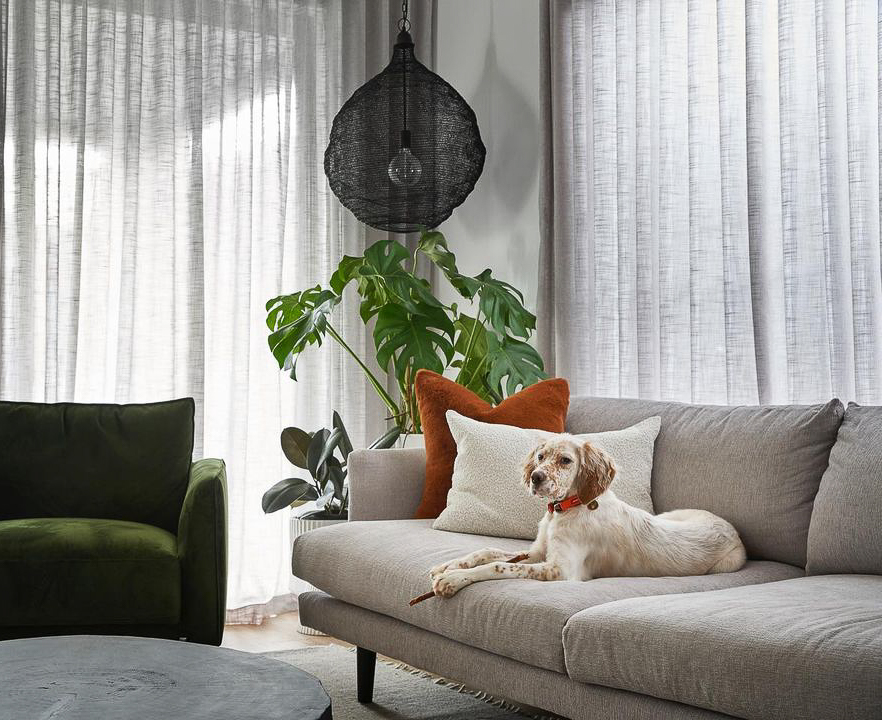 plush_sofas's tweet photo. Gorgeous earthy tones used to effortlessly style our Malibou Sofa by @that.home.build
#plushsofas #loveatfirstsit #madeforyou #myplushstyle #pictureperfect #finditstyleit  https://t.co/xN2bGV6iYe https://t.co/c6RTHcpNKB