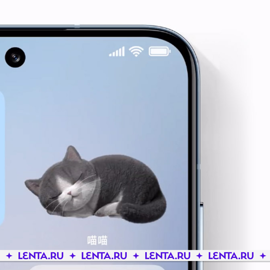 Сяоми 14 про глобальная версия. Кот тамагочи MIUI 14. Виджеты с котиками. Кот Виджет Xiaomi. "MIUI 14" батареи.