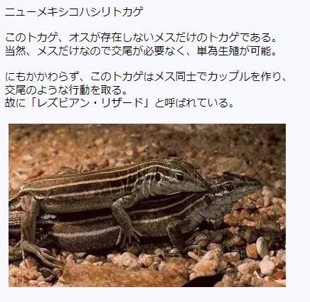 メスしか存在しない単為生殖動物が交尾…？！レズビアン・リザードが存在する…