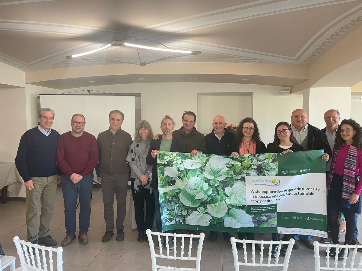 BrasExplor tweet media