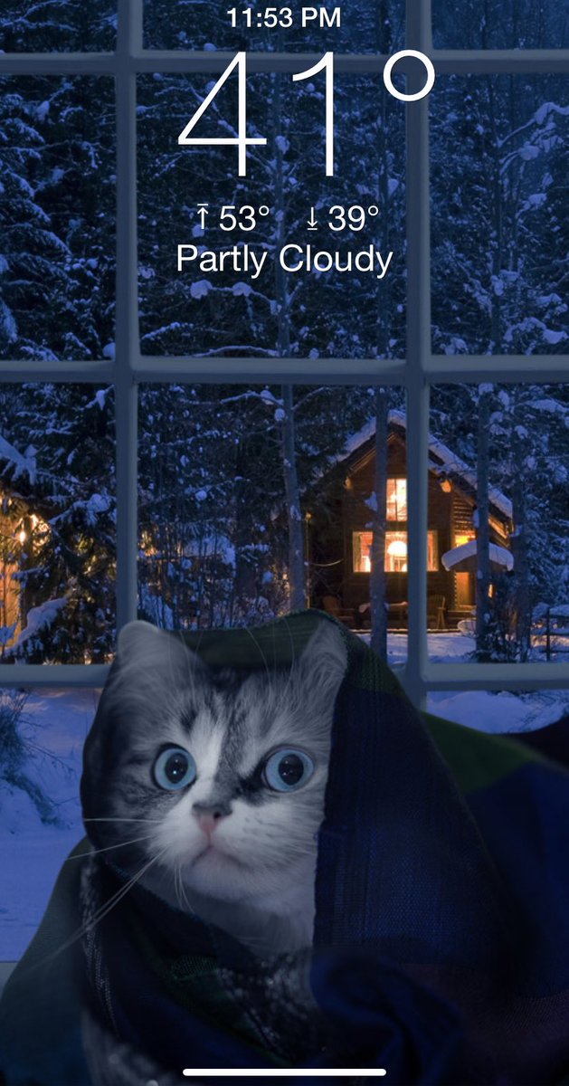 _queencobras's tweet image. If you like the weather AND kitties then I highly recommend the Weather Kitty app