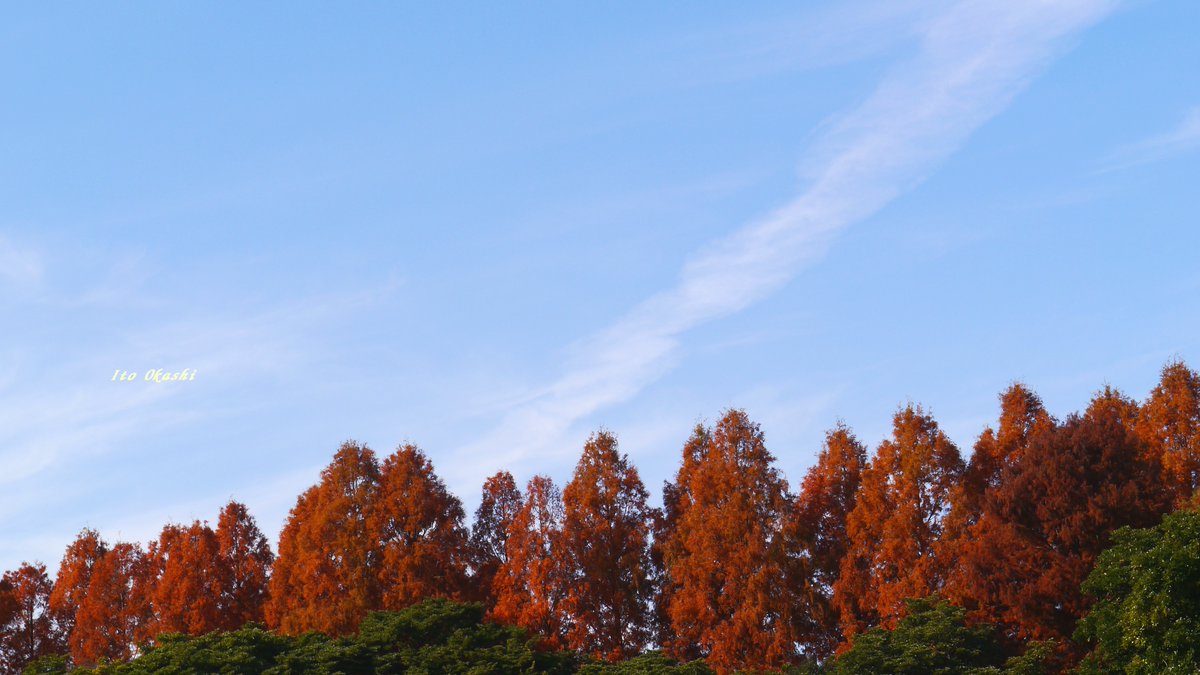 かっこいいすじ雲さん🎵
#写真好きな人と繋がりたい