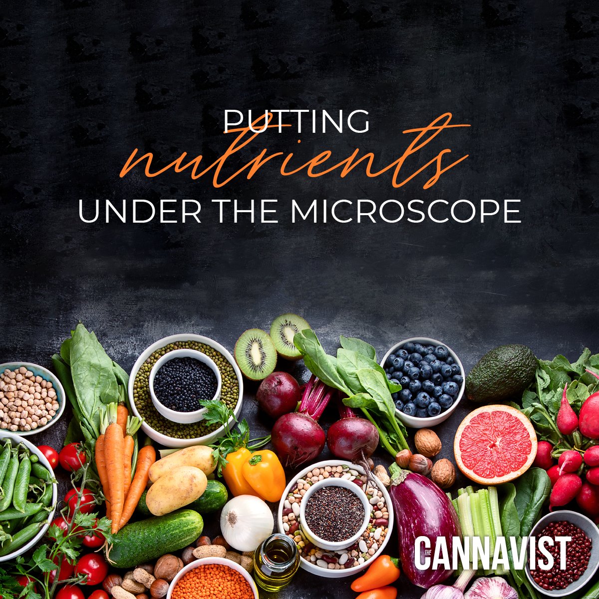 The CANNAVIST® (@thecannavistmag) on Twitter photo We so often hear that minerals and an alphabetised list of vitamins are key to living a healthy life, but how many of us actually know what they do?
Find out more in issue 17. Available now on <a href="/readly/">Readly</a> and <a href="/PressReader/">PressReader</a>. <a href="/pressreader/">PressReader</a>
gb.readly.com/products/magaz…
pressreader.com/uk/the-cannavi… We so often hear that minerals and an alphabetised list of vitamins are key to living a healthy life, but how many of us actually know what they do?
Find out more in issue 17. Available now on <a href="/readly/">Readly</a> and <a href="/PressReader/">PressReader</a>. <a href="/pressreader/">PressReader</a>
gb.readly.com/products/magaz…
pressreader.com/uk/the-cannavi…