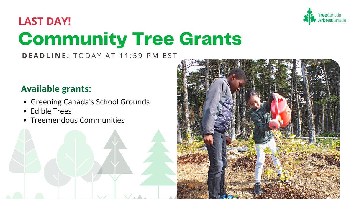 TreeCanada's tweet photo. LAST DAY to submit an application for our #CommunityTreeGrants!
Available grants include:
1οΈβ£ Greening Canada's School Grounds
2οΈβ£ Edible Trees
3οΈβ£ Treemendous Communities
Submit: https://t.co/WHwMIjadXb https://t.co/JfwrytQ814