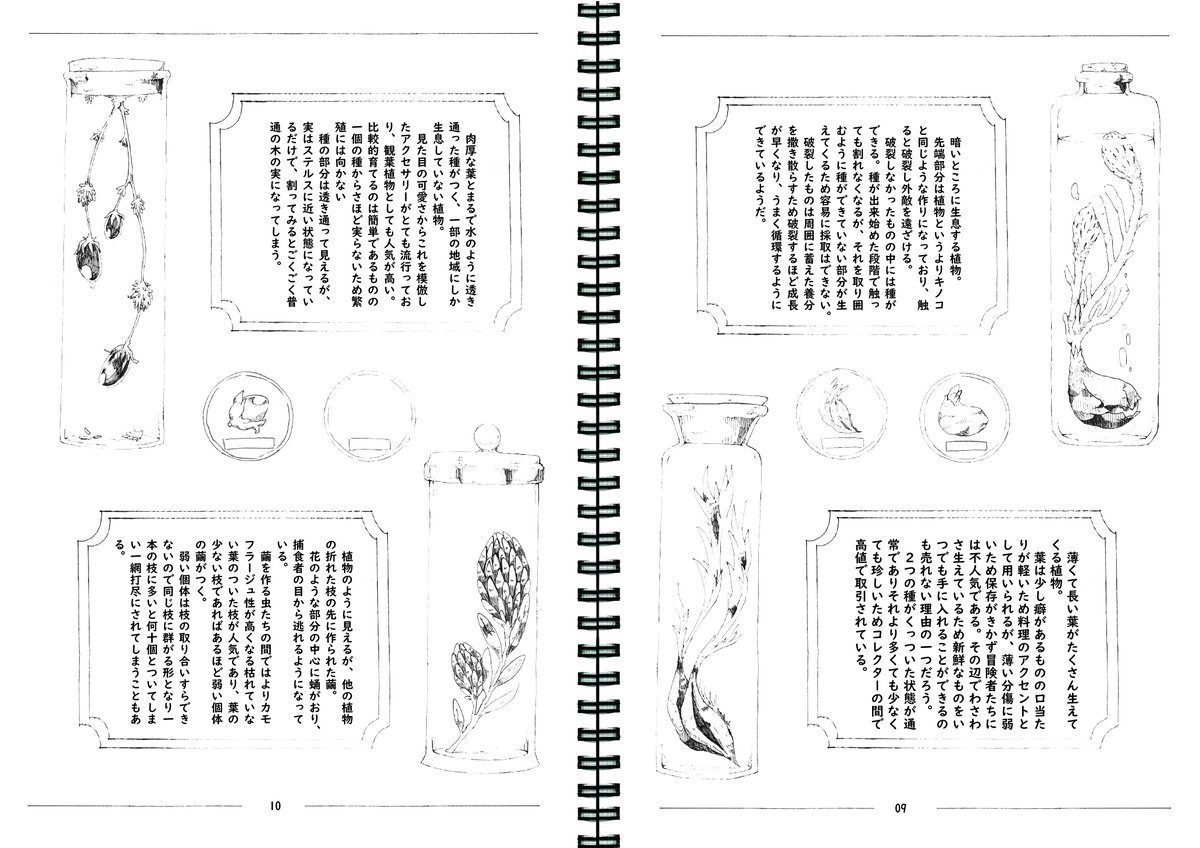 昔作った植物とかアイテムのデザインと設定見て 