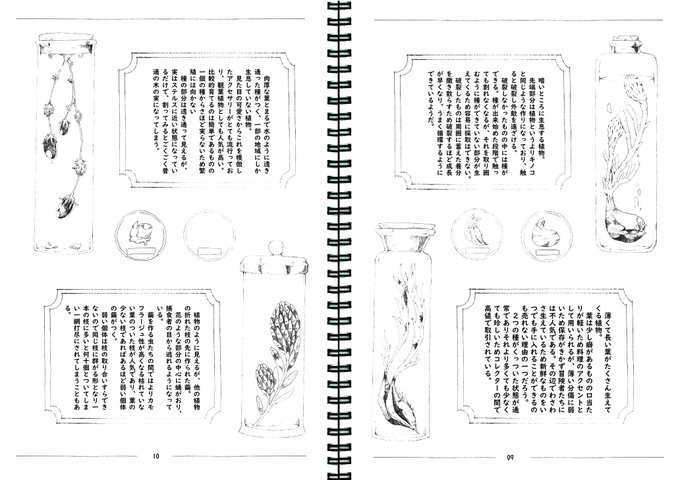 昔作った植物とかアイテムのデザインと設定見て 