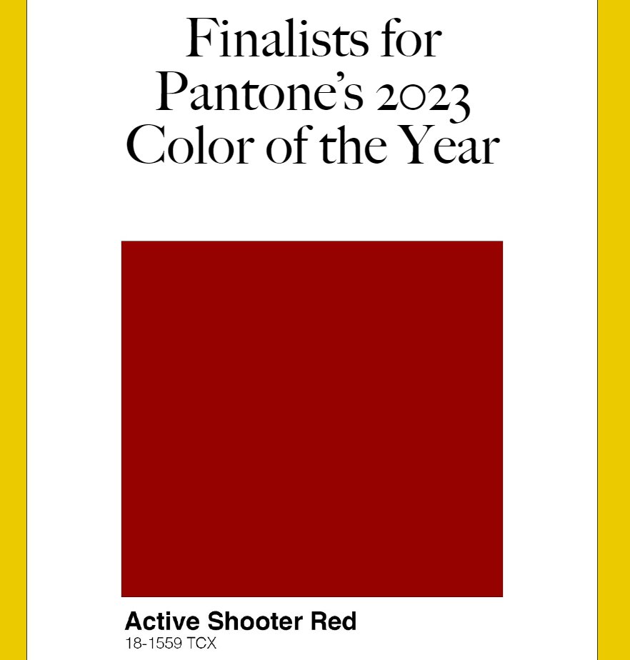 The American Bystander tweet media