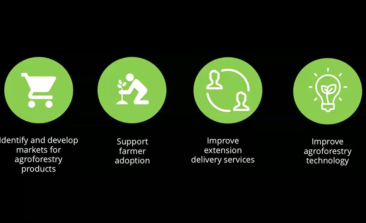 Linnéa Pasquier, huvudförfattare av policy briefet, Agroforestry Sweden: Vad menas med "scaling up"? #AgroforestrySweden #Agroforestry <a href="/ViAgroforestry/">Vi Agroforestry</a>
 <a href="/agroforestry/">The Agroforestry Hub</a>nw <a href="/Viskogen/">Vi-skogen</a> <a href="/Sida/">Sida</a> <a href="/FAOForestry/">FAO Forestry</a>  
@Agroforestry <a href="/Naringsdep/">Näringsdepartementet</a> <a href="/Jordbruksverket/">Jordbruksverket</a>