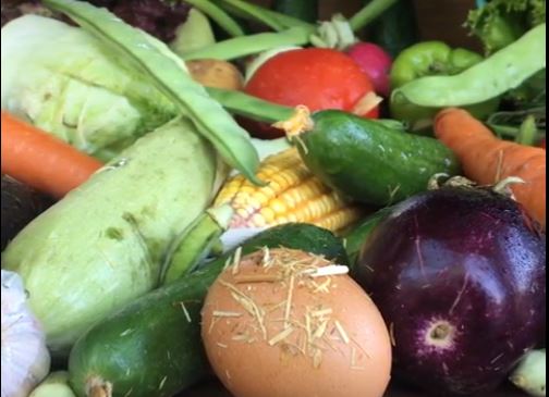 Preventie #obesitas door verbetering voedselomgeving op scholen,subsidies voor groenten en fruit,belasting op ongezond voedsel en dranken en beperkingen op de marketing van ongezond voedsel voor kinderen rb.gy/eysn6y