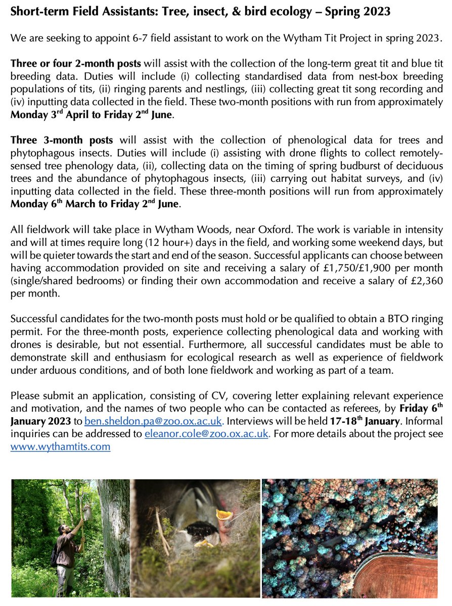 Wytham Tit Study tweet media