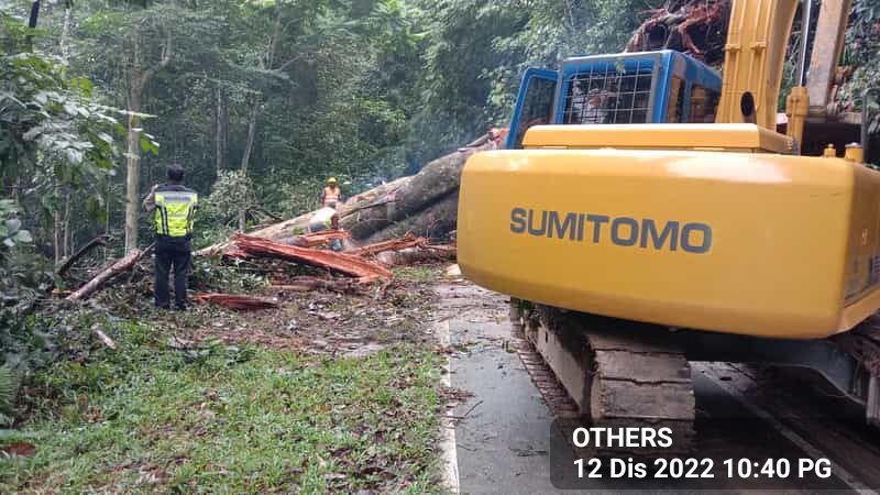 Roadcare Bentong & Raub (@rcbentong) on Twitter photo #teamroadcare kerja bersih #pokoktumbang di FT55 - TRANUM - GAP
@MOWorks <a href="/JKRPAHANG/">JKR PAHANG</a> <a href="/ZTTCSFJ/">ZTT CSFJ</a> <a href="/JKR_Raub/">JKR Raub</a> <a href="/dzakir76/">dzakir</a> <a href="/Roadcare_HQ/">ROADCARE (M) SDN BHD</a> <a href="/JKRPAHANG/">JKR PAHANG</a> <a href="/IrZulkefly/">Mohd Zulkefly S</a> #teamroadcare kerja bersih #pokoktumbang di FT55 - TRANUM - GAP
@MOWorks <a href="/JKRPAHANG/">JKR PAHANG</a> <a href="/ZTTCSFJ/">ZTT CSFJ</a> <a href="/JKR_Raub/">JKR Raub</a> <a href="/dzakir76/">dzakir</a> <a href="/Roadcare_HQ/">ROADCARE (M) SDN BHD</a> <a href="/JKRPAHANG/">JKR PAHANG</a> <a href="/IrZulkefly/">Mohd Zulkefly S</a>