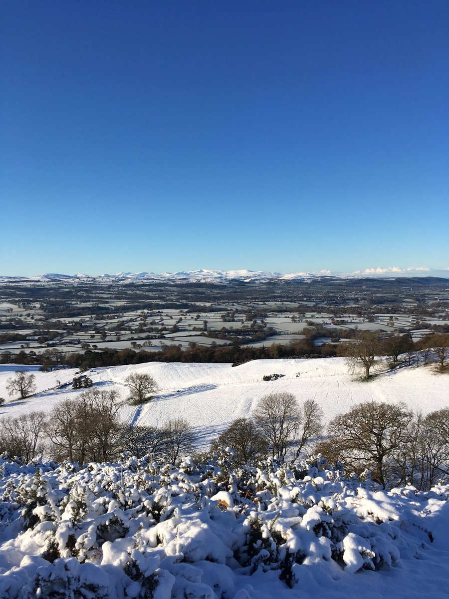 Saint Beuno's tweet media