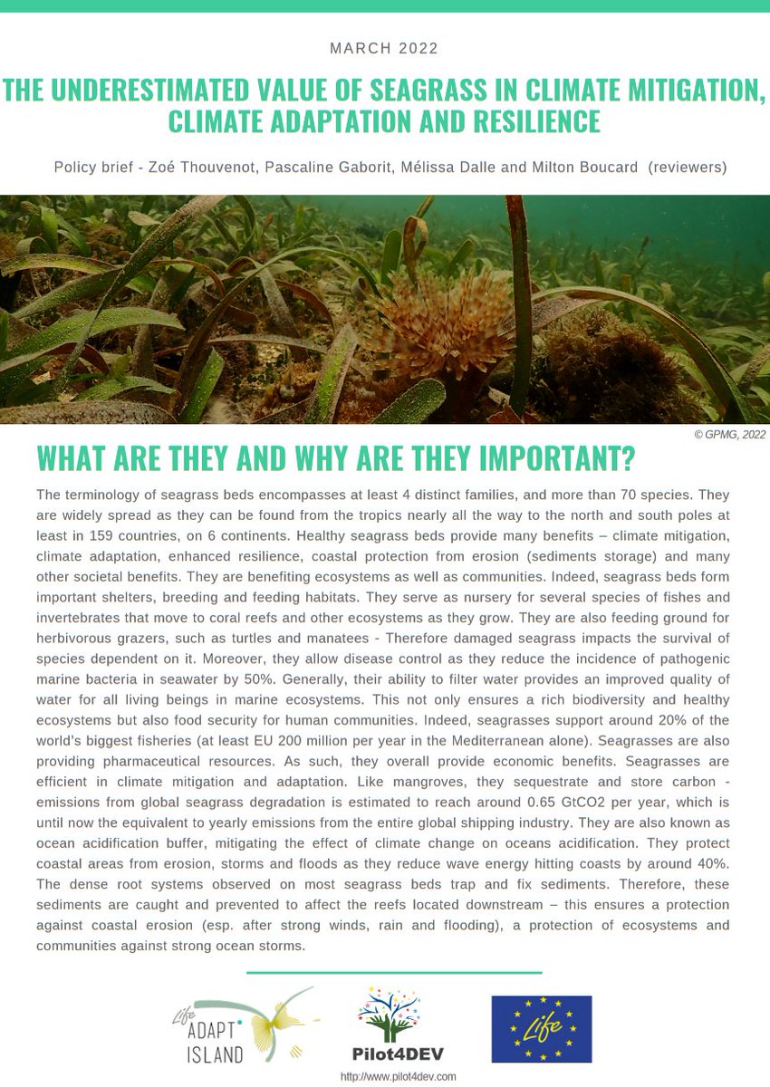 Pilot4DEV tweet media