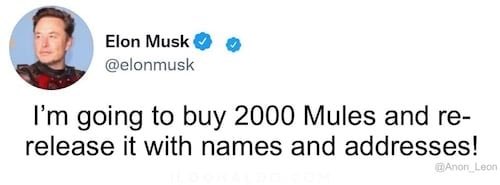 katja loud on Twitter: "🚨BOOM!!!!! Elon Musk~ I’m going to buy 2000